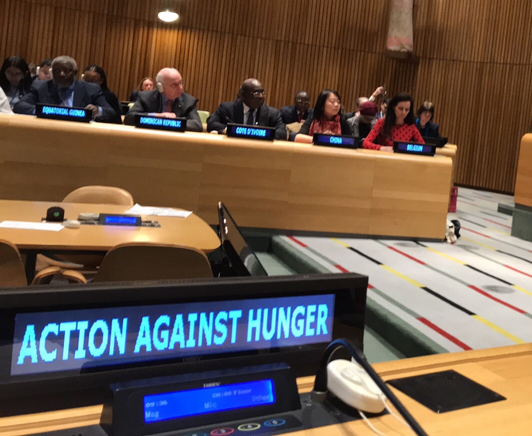 Action Against Hunger represented at a meeting of the United Nations Security Council