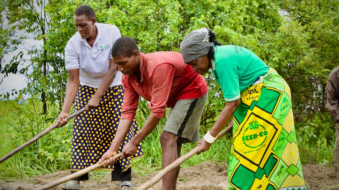 Clare, 72, a farmer in Zambia planting drought-resistant crops in an effort to fight climate change.