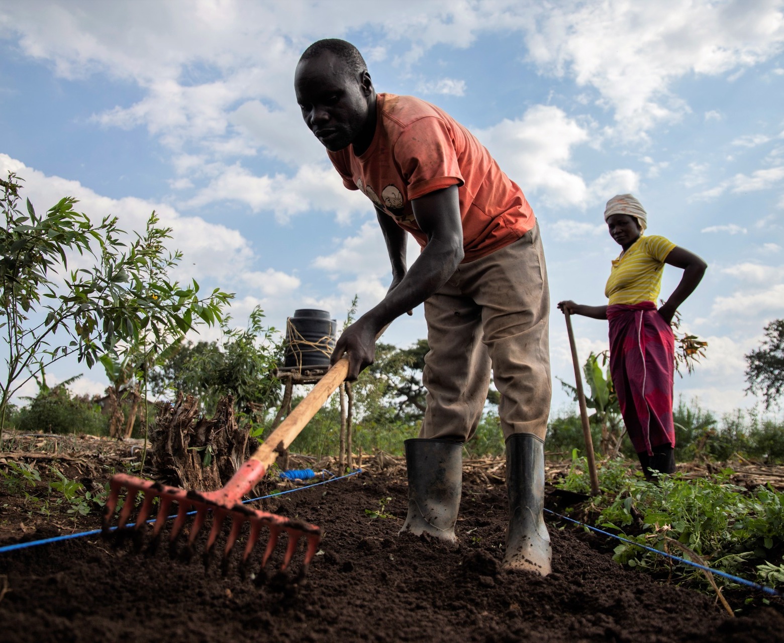 Farmers in Uganda