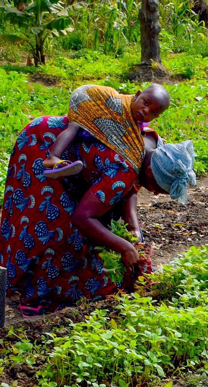A woman and her baby in a demonstration plot