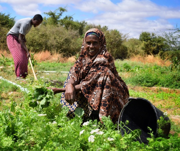 In Hudur, Southwest Somalia, Luley works in her garden - she keeps some of the produce she grows for her family and sells the rest for additional income.