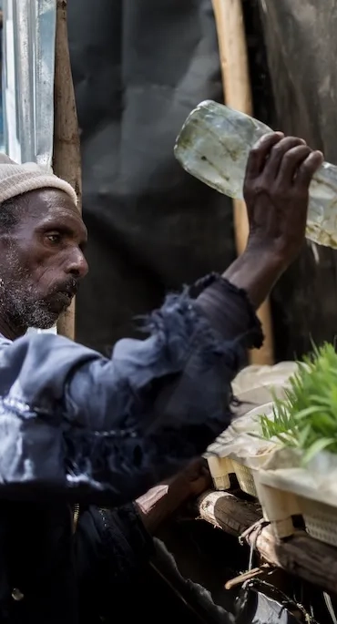 In Ethiopia, a man uses hydroponics to grow fodder for his livestock.